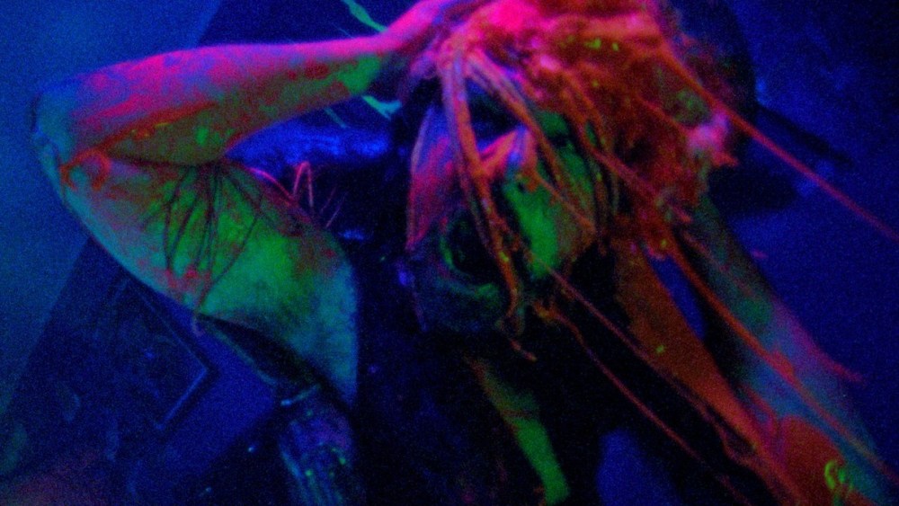 Argentinsk spin-off af Alien Horror Pic 'Jimmy and Stiggs' er på vej