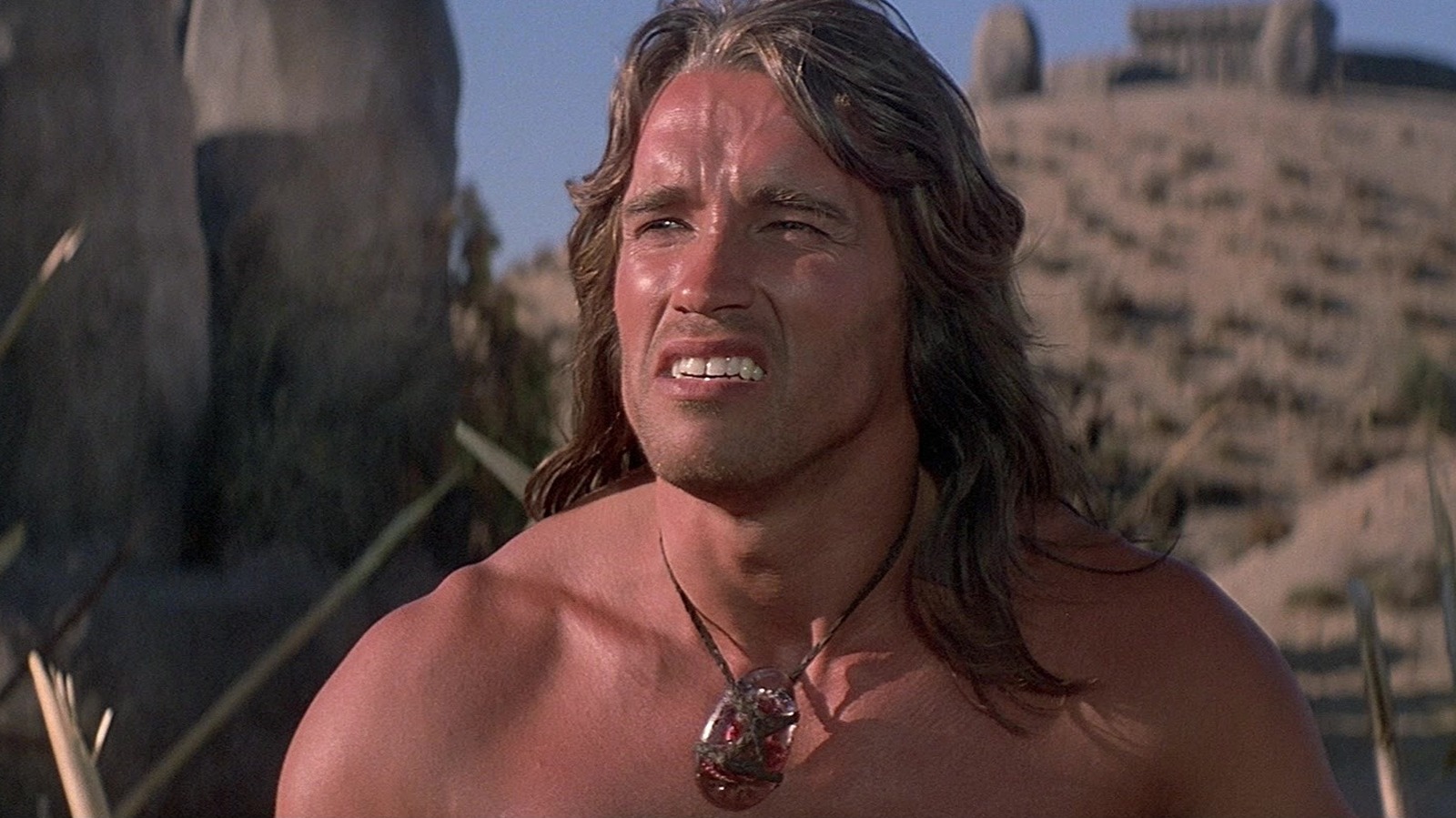 Arnold Schwarzenegger medvirkede næsten i en ambitiøs piratfilm [Exclusive]
