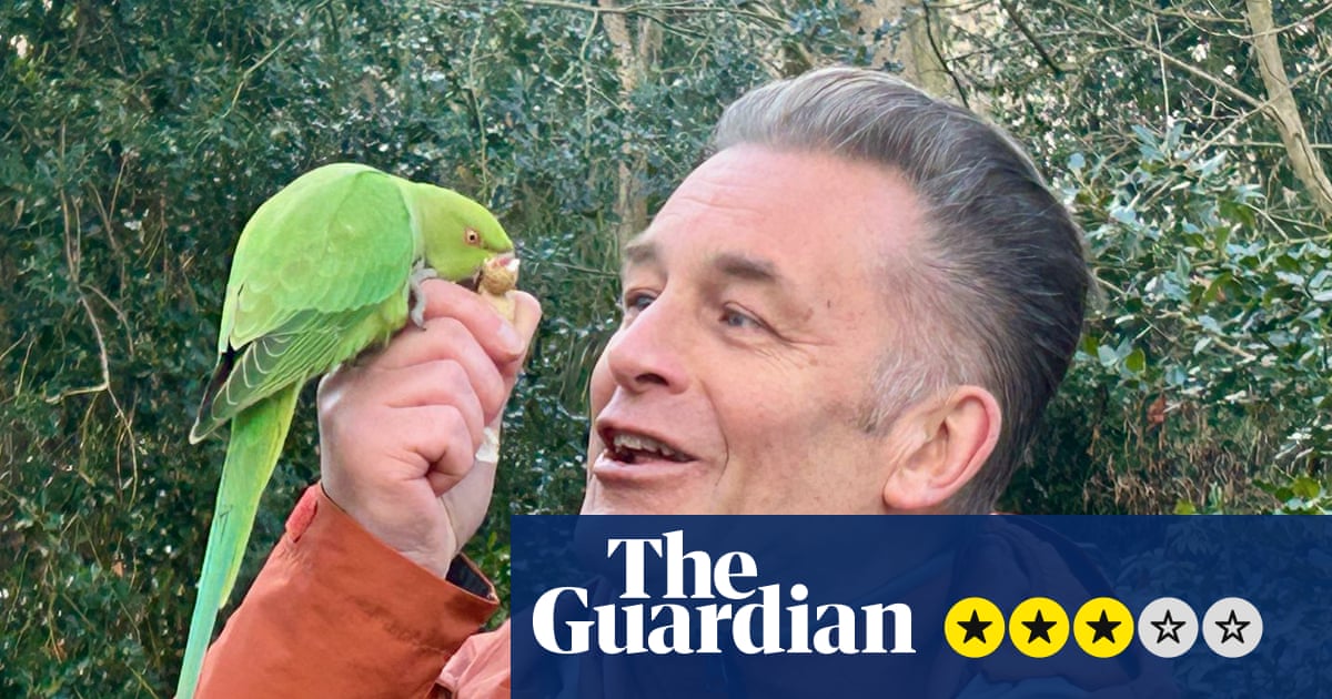 Invasion of the Parakeets anmeldelse – fører vi virkelig klassekrig med fugle nu? | Television